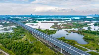 阳明滩大桥 阳明滩湿地丁香花海