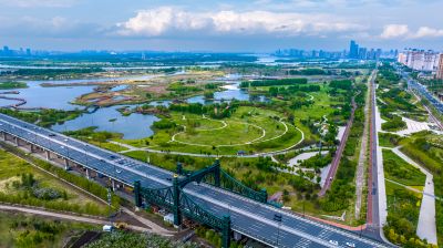 阳明滩大桥 阳明滩湿地丁香花海