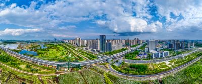 阳明滩大桥 阳明滩湿地丁香花海