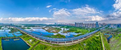 阳明滩大桥 阳明滩湿地丁香花海