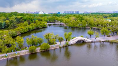 夏季太阳岛
