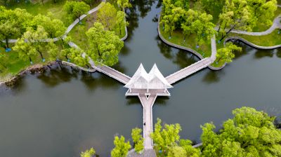 夏季太阳岛