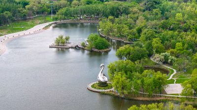 夏季太阳岛