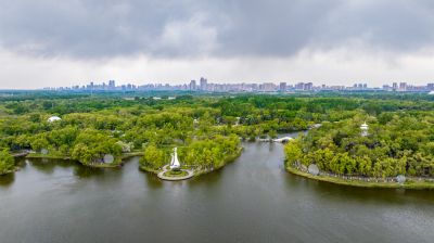 夏季太阳岛