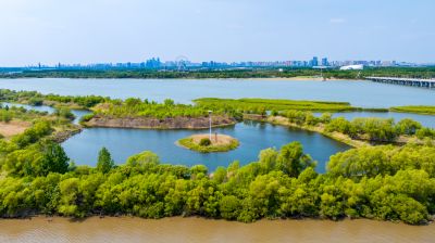 松花江公路大桥