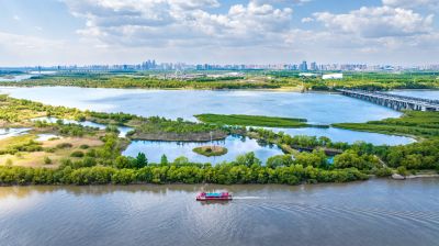 夏季阳明滩湿地