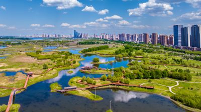夏季阳明滩湿地