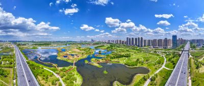夏季阳明滩湿地