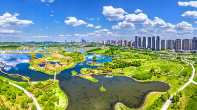 夏季阳明滩湿地
