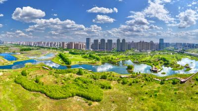 夏季阳明滩湿地