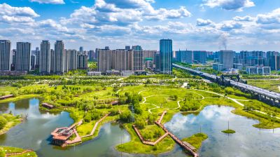 夏季阳明滩湿地