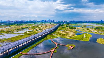 夏季阳明滩湿地