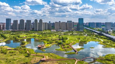 夏季阳明滩湿地