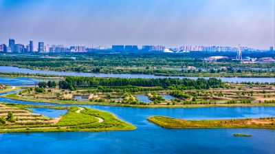 阳明滩大桥 阳明滩湿地