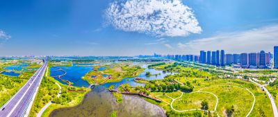 阳明滩大桥 阳明滩湿地