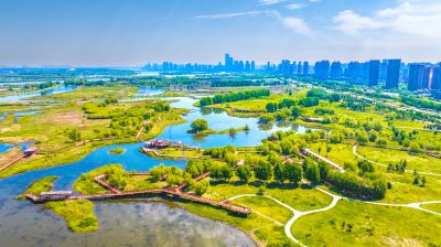 阳明滩大桥 阳明滩湿地