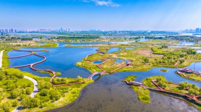 阳明滩大桥 阳明滩湿地