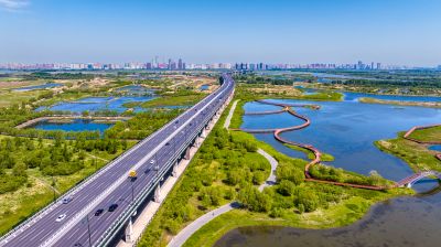 阳明滩大桥 阳明滩湿地