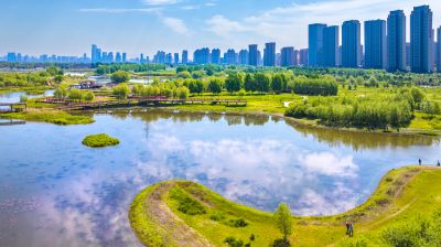阳明滩大桥 阳明滩湿地