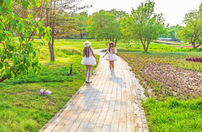 夏日太阳岛端午文化旅游节