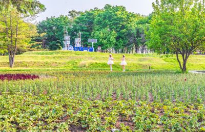 夏日太阳岛游人
