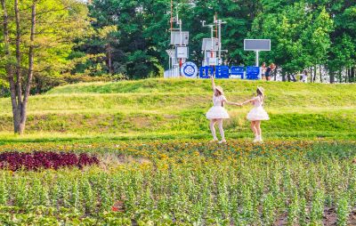 夏日太阳岛游人