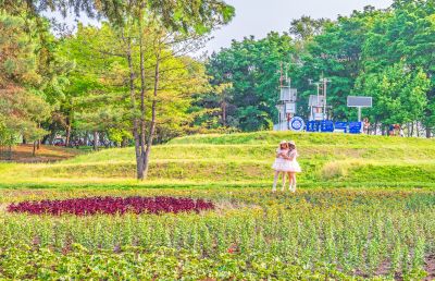 夏日太阳岛游人