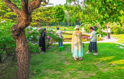 夏日太阳岛游人