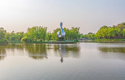 夏日太阳岛