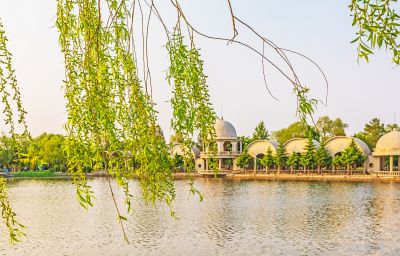 夏日太阳岛