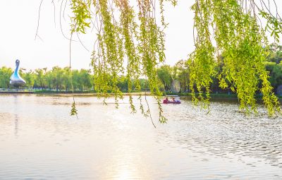夏日太阳岛