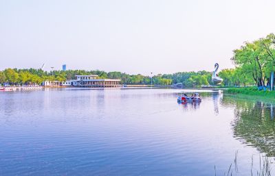 夏日太阳岛