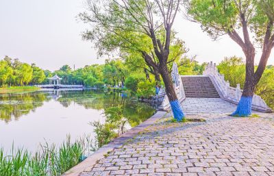 夏日太阳岛