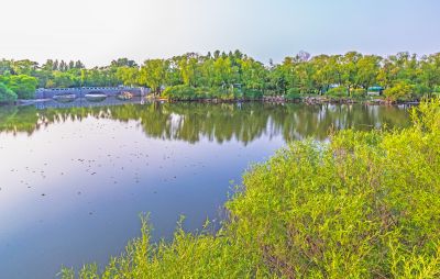 夏日太阳岛