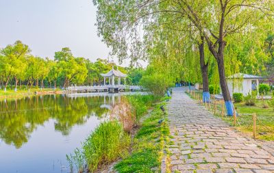 夏日太阳岛