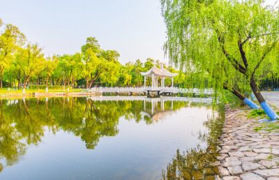 夏日太阳岛