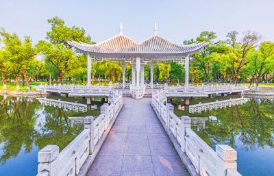 夏日太阳岛