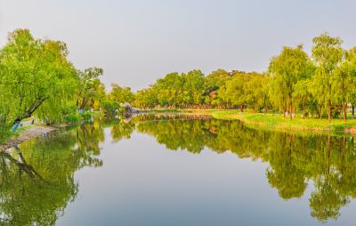夏日太阳岛