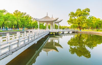 夏日太阳岛