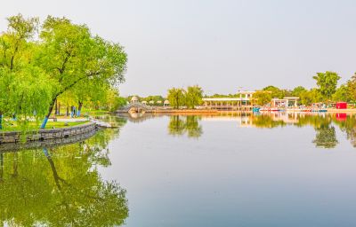 夏日太阳岛