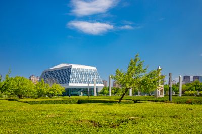 哈尔滨音乐厅广场夏日风景