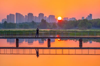 晨光中的大剧院湿地