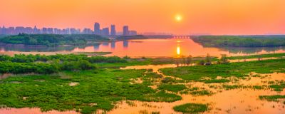 松北区市政府广场花海一湖三岛湿地美景