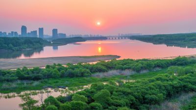 松北区市政府广场花海一湖三岛湿地美景