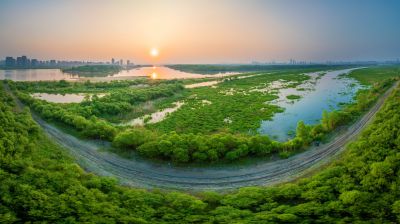 松北区市政府广场花海一湖三岛湿地美景