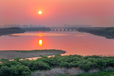 松北区市政府广场花海一湖三岛湿地美景