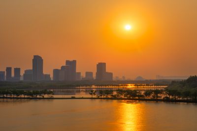 松北区市政府广场花海一湖三岛湿地美景