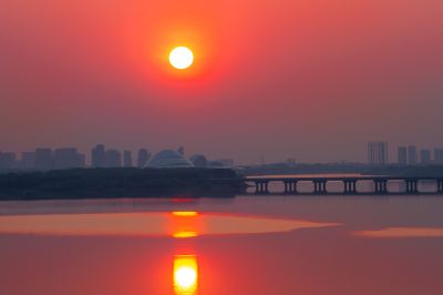 松北区市政府广场花海一湖三岛湿地美景