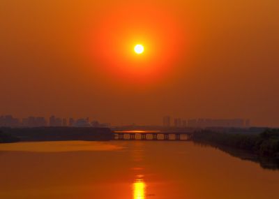 松北区市政府广场花海一湖三岛湿地美景