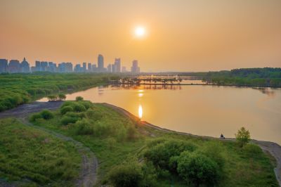 松北区市政府广场花海一湖三岛湿地美景